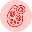 Adult Leukemia