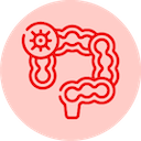 Appendix cancer