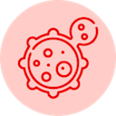 B-cell