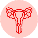 Endometrial cancer