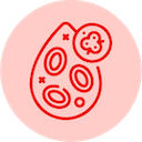Leukemia