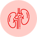Liver Cancer