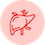 Liver Cancer