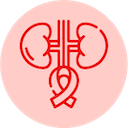 Renal Cell
